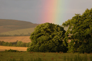 Rainbow in the front field