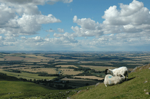 View over Till Valley